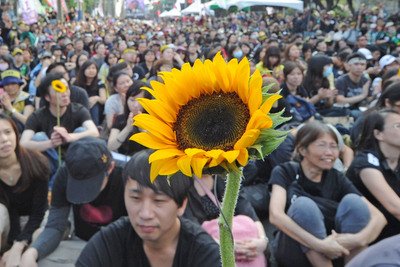 Taiwan News Encyclopedia Sunflower Student Movement News Rti Radio Taiwan International