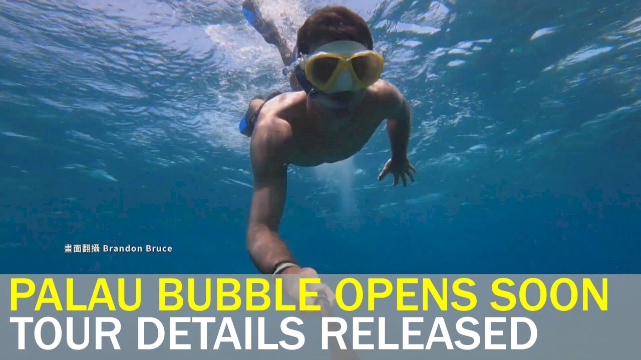 VIDEO: Details of Palau travel bubble tour revealed