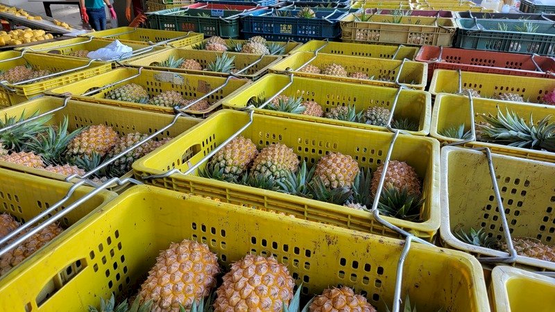 Fresh Taiwanese pineapple makes its way to New Zealand