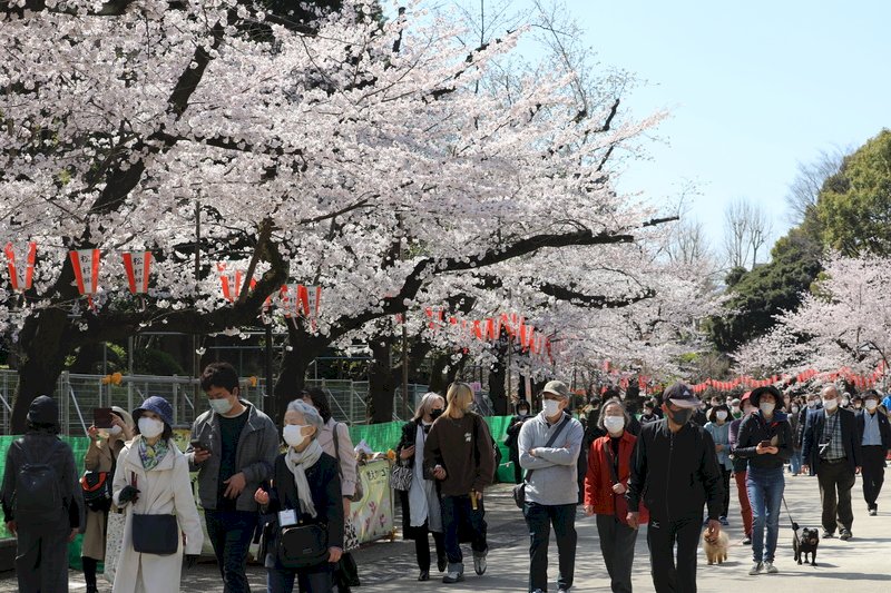 Japan welcomes Taiwan travelers