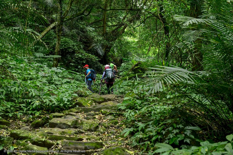 David Guetta in Taiwan, Missing hikers found and Memorial for Taiwanese feminist activist held David Guetta in Taiwan, Missing hikers found and Memorial for Taiwanese feminist activist held