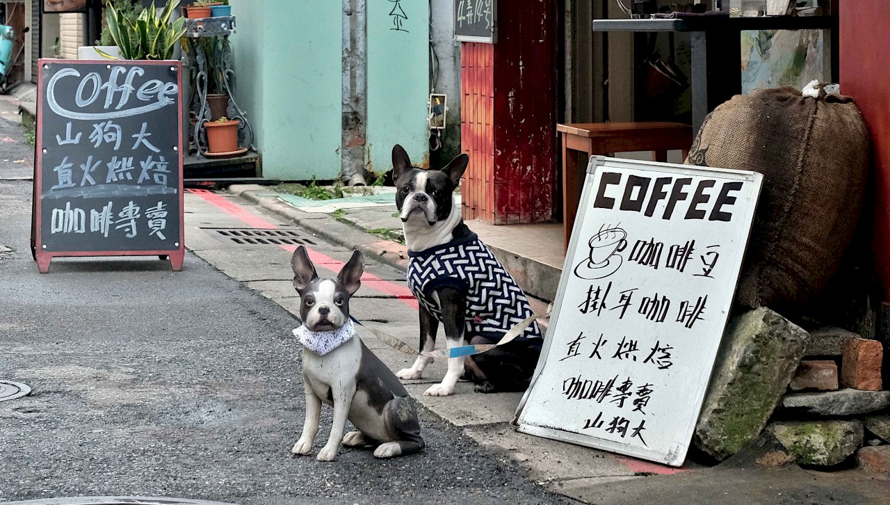 A Boston Terrier and an effigy on the pavement in front of a café (Photo: Naomi Hellman).