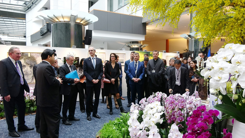 600 Taiwanese orchids wow the European Parliament