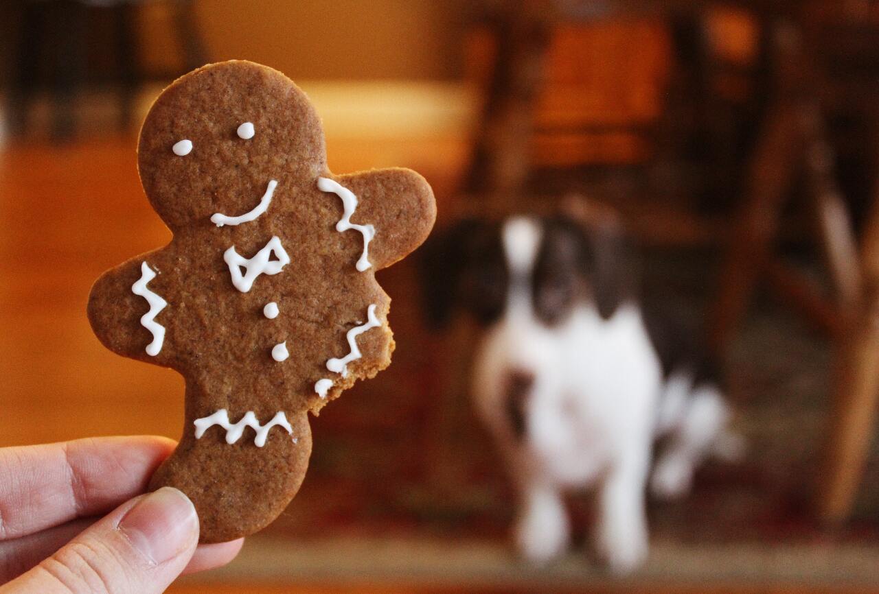 Xmas cookies