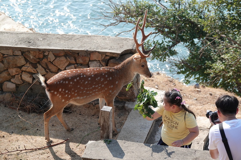 Adventures: Taiwan's archipelagos
