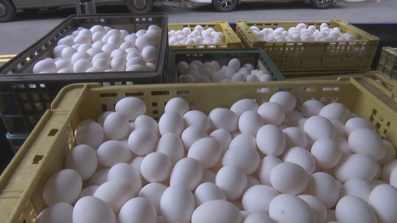 VIDEO: Farmers demand higher egg prices as shortage continues