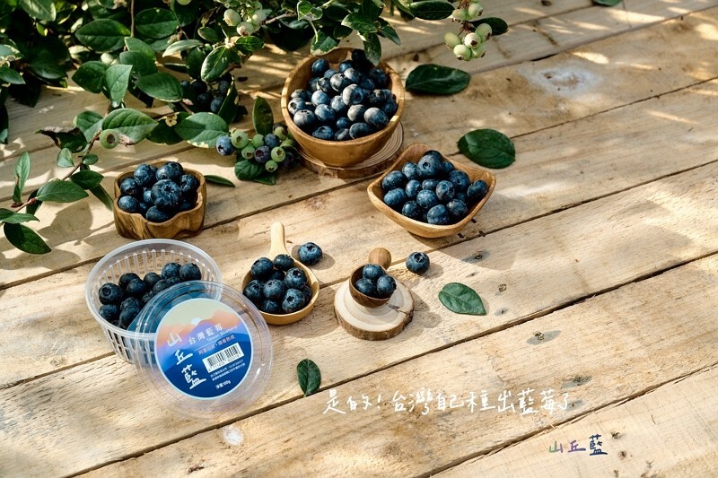 Avian flu, housing subsidy, and homegrown blueberries