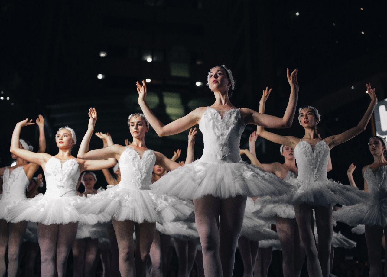 Hungry troops, Ukrainian ballet, and rise in pets