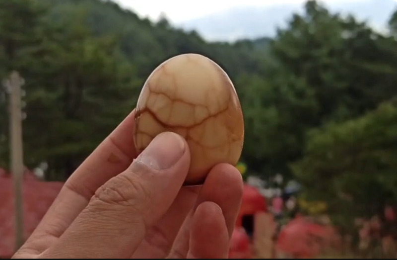 Taboos on Mid-Autumn Festival, Country of origin pilot program for eggs, NTU's global ranking Taboos on Mid-Autumn Festival, Country of origin pilot program for eggs, NTU's global ranking