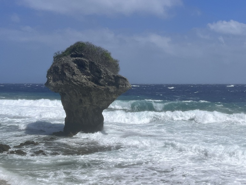 VIDEO: Strong winds from Typhoon Mawar cause injuries for water sports enthusiasts