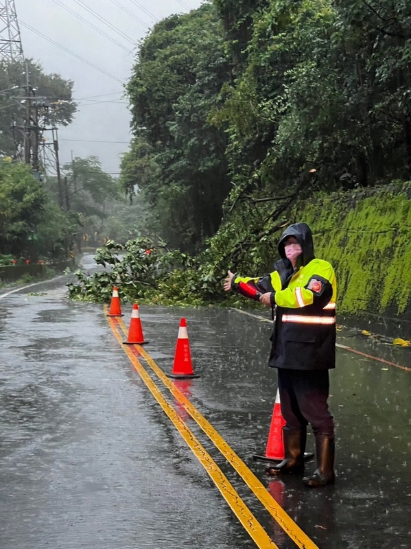 Fallen trees caused brief power outages in Taoyuan Thursday morning