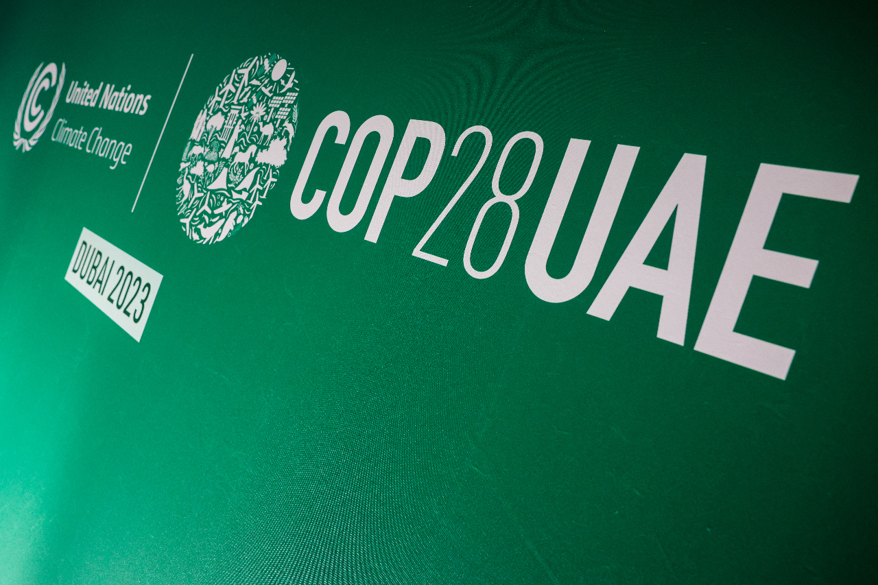 Anti-nuclear groups warn against nuclear power use ahead of COP28
