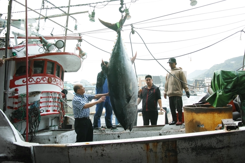 WATCH: Suao wins “First Tuna Catch of the Season” title