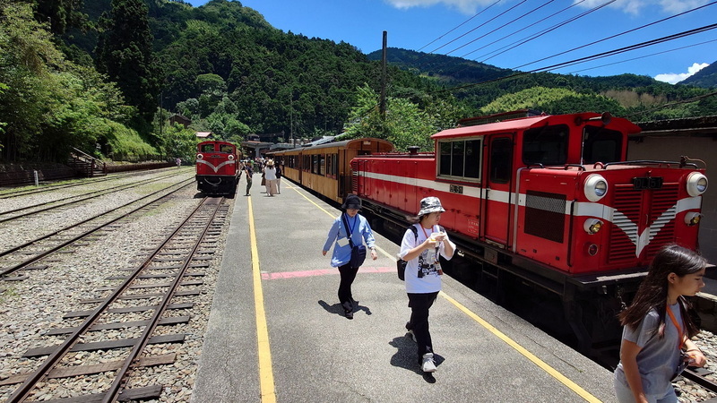 New York Times spotlights Alishan as top travel destination for 2025 ...