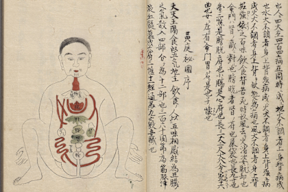 18+ special exhibition opens at National Palace Museum