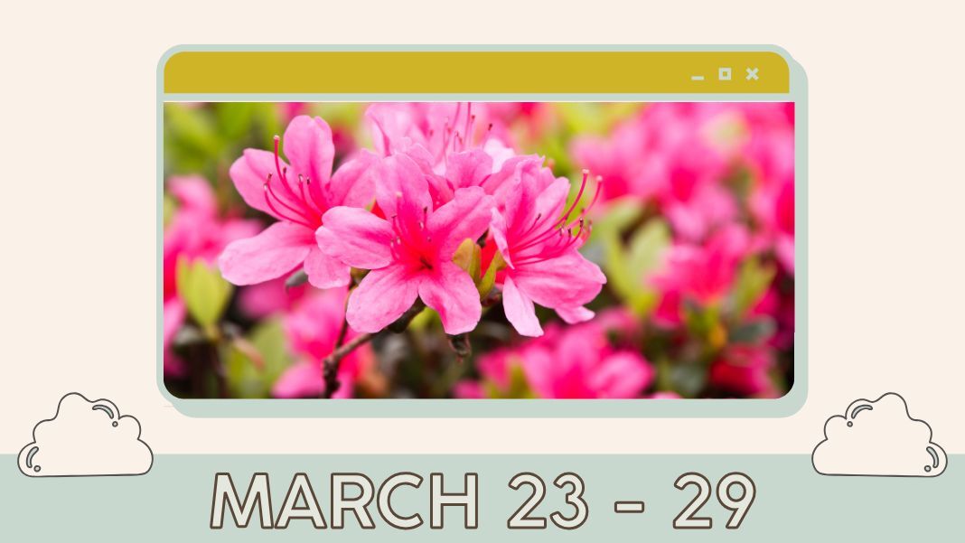 What's Up: March 23 - 29
